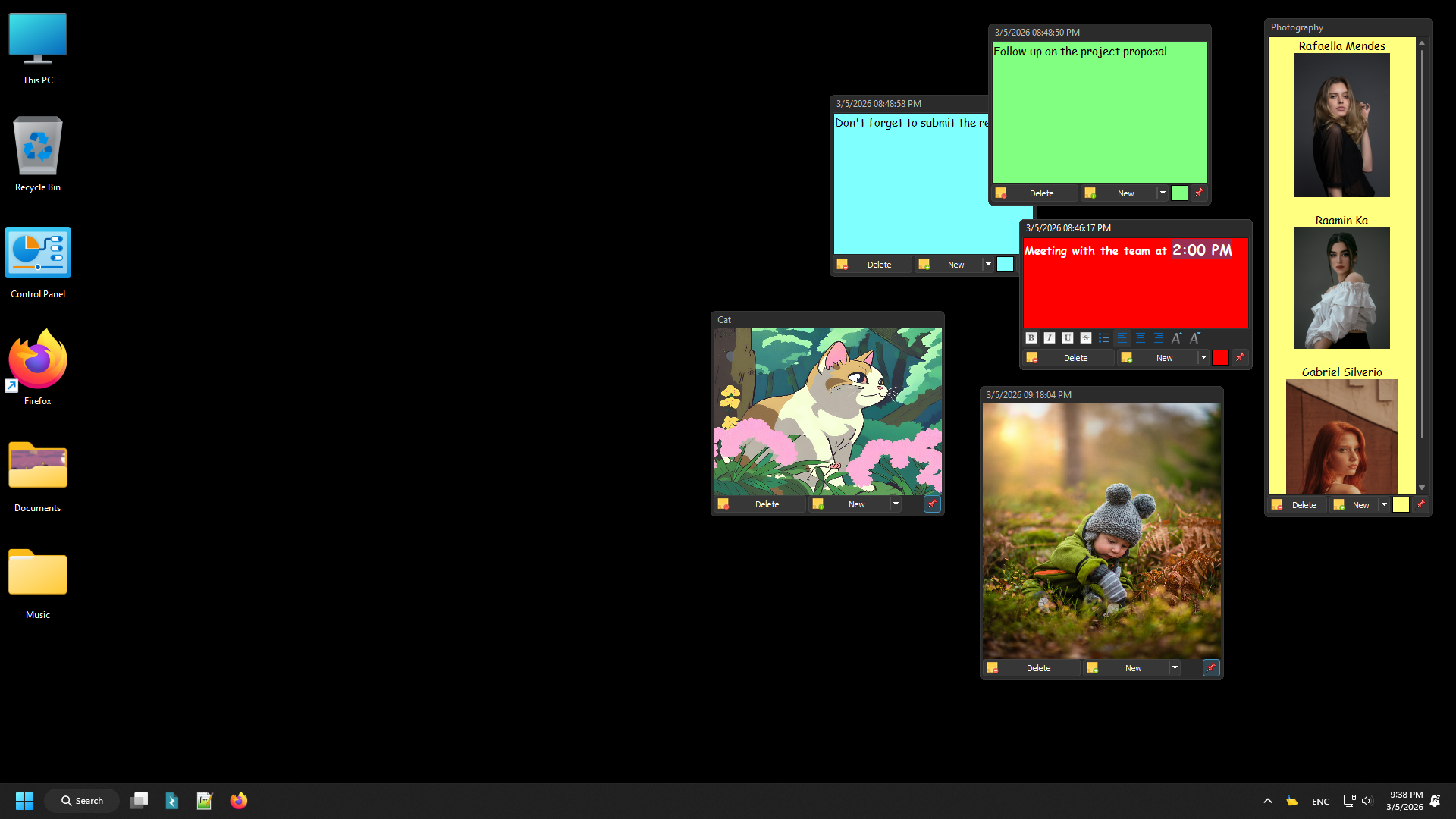 Vov Sticky Notes Screenshot